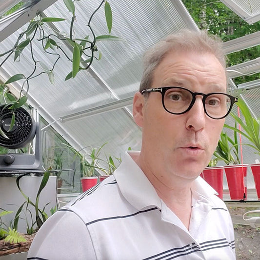 10 Simple Ways to Boost Your Energy in Under 10 Minutes