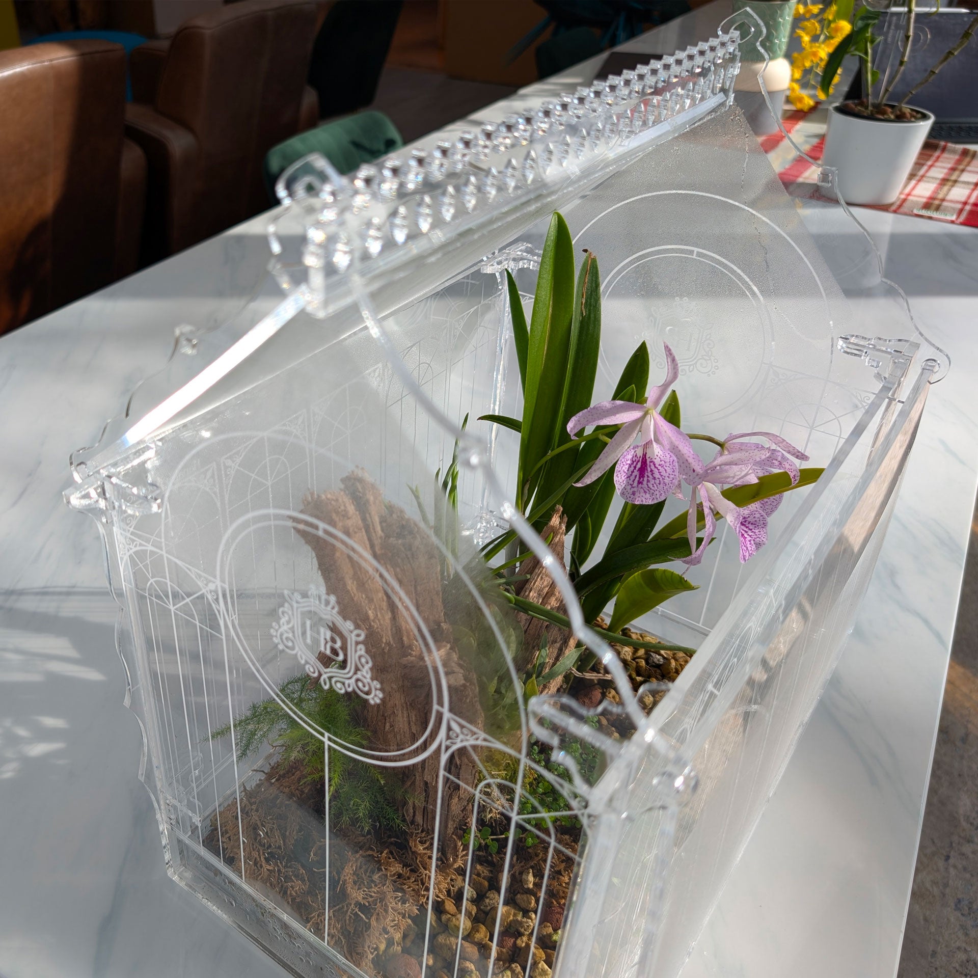 Interior view of a Victorian-style terrarium, showcasing beautiful orchid flowers blooming inside the lush plant arrangement.