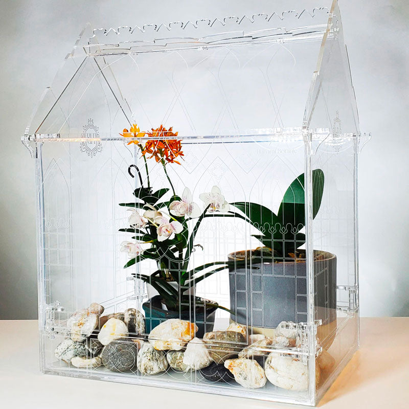 Close-up of an orange orchid blooming inside a Gothic-inspired terrarium, showcasing vibrant colors and the lush environment.