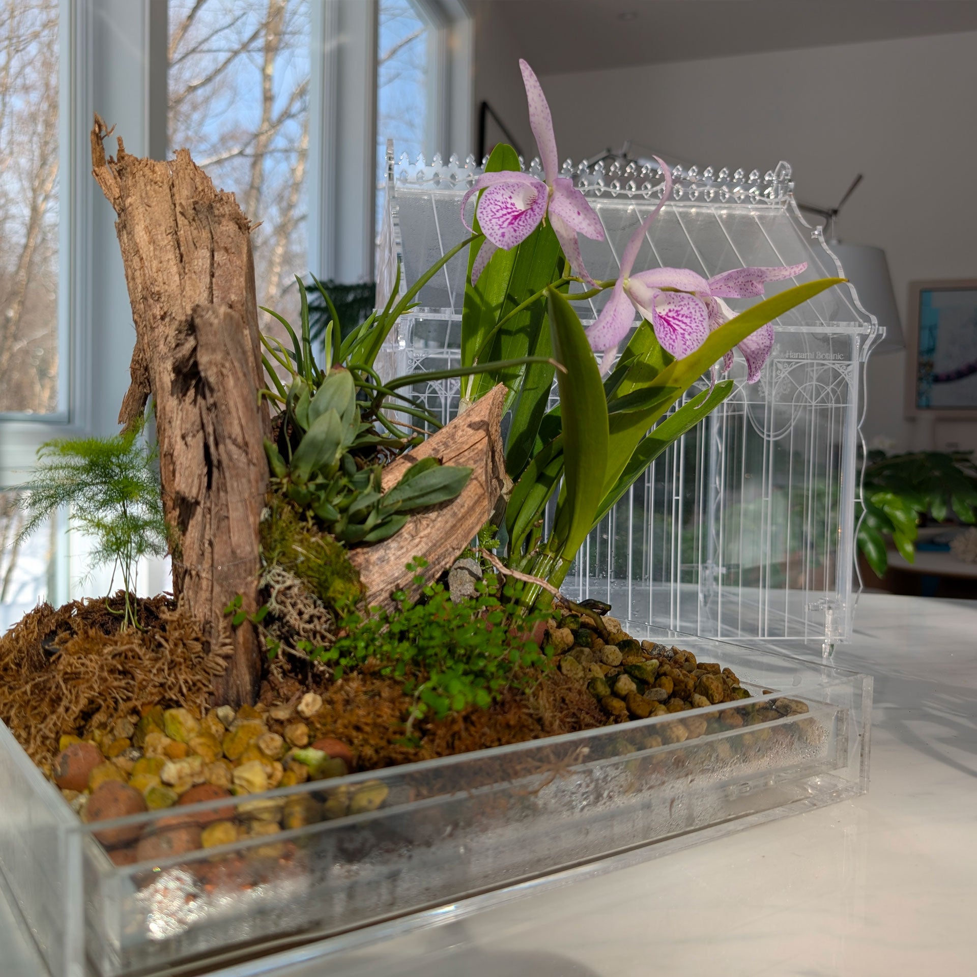 A beautifully arranged Victorian-style terrarium featuring orchid flowers, lush moss, and ferns, creating a vibrant, natural display.