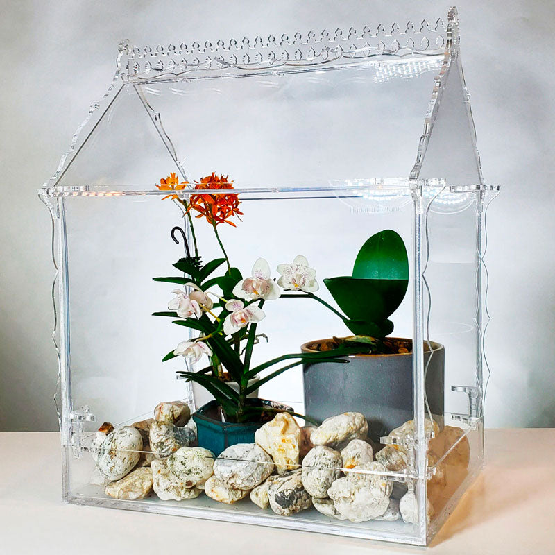 acrylic plant terrarium Classic Victorian Glass Terrarium for Indoor Plants – Decorative Display – Hanami Botanic