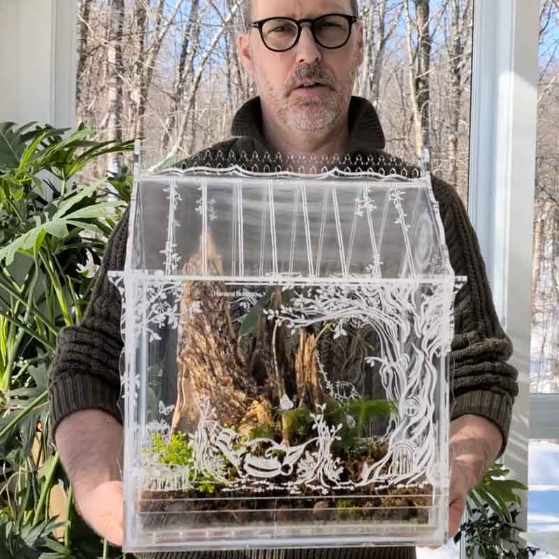 Fairy Tale Terrarium for Houseplants | Victorian-Inspired Miniature Greenhouse