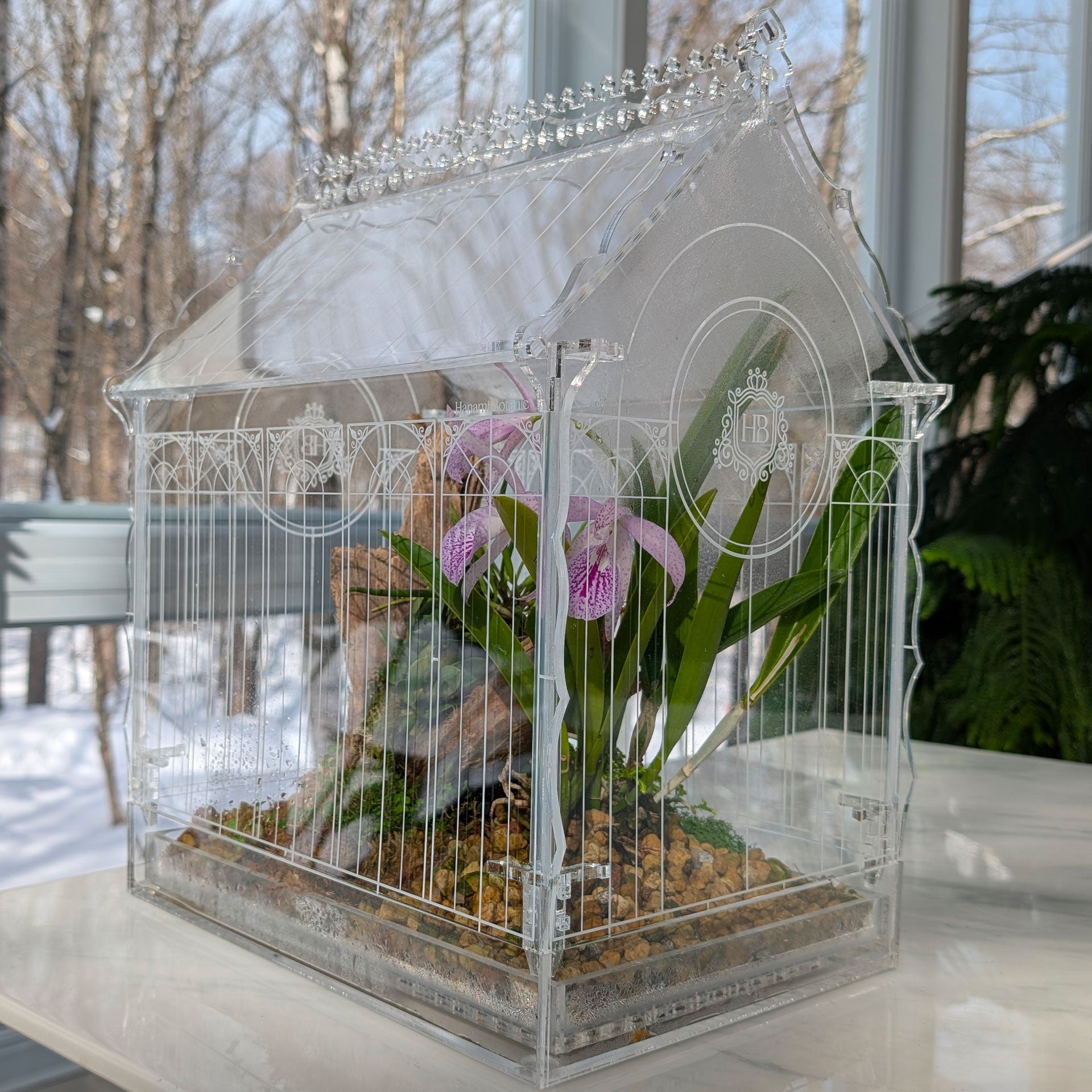 Victorian-style terrarium with plants inside, showing condensation on the walls, highlighting the high humidity environment for tropical plants.