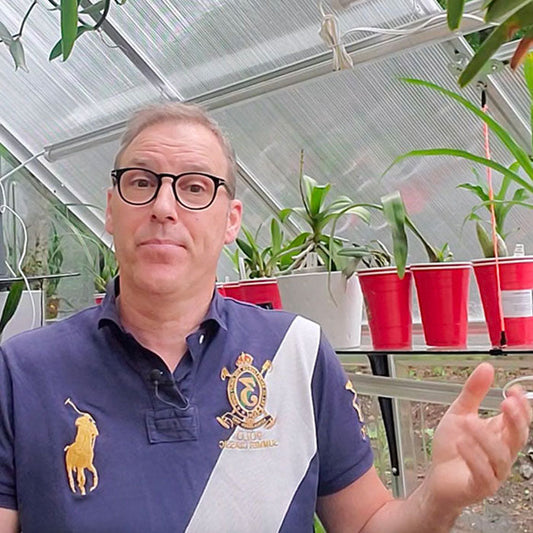 Why We Feel Out of Sync with Our Own Life — and How I Began to Find My Way Back