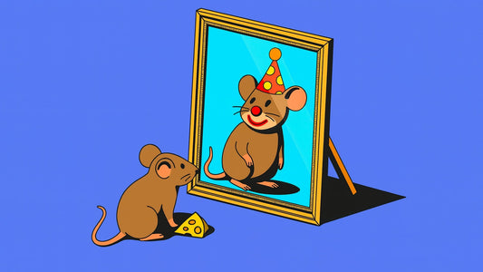 Learning to Take Yourself a Little Less Seriously