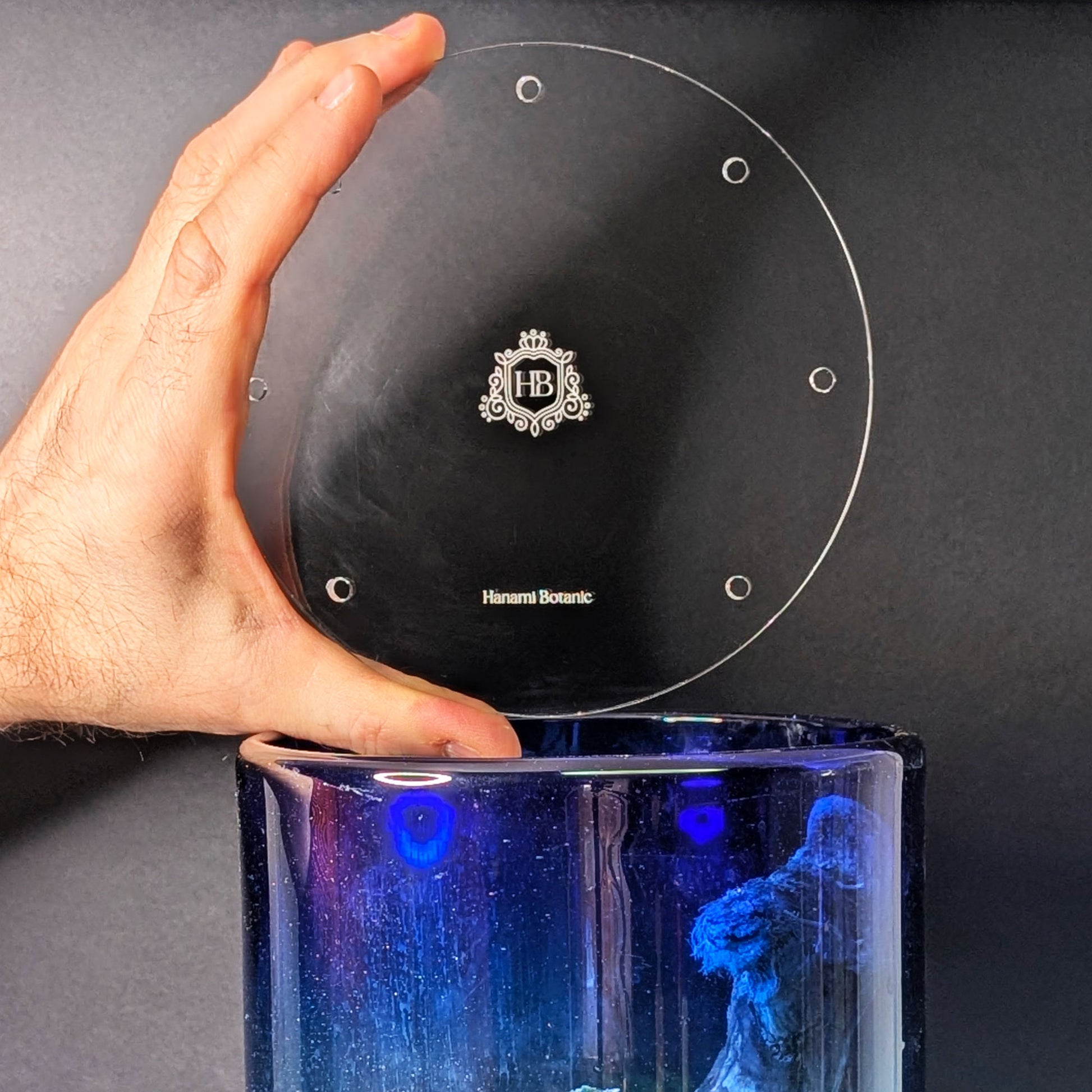 Hand holding a clear round acrylic lid for closed terrarium or mossarium, shown for size and thickness