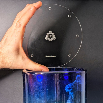 Hand holding a clear round acrylic lid for closed terrarium or mossarium, shown for size and thickness
