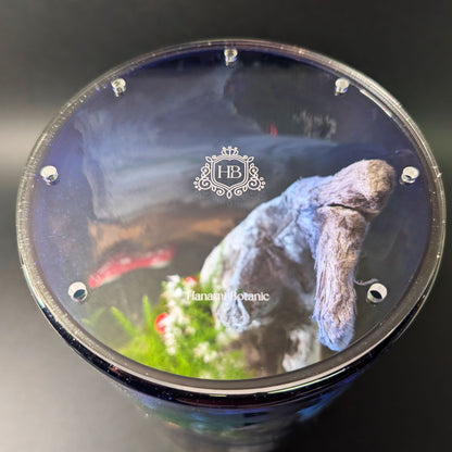 Close-up of the clear acrylic terrarium lid featuring the Hanami Botanic brand name – minimalist and handmade.