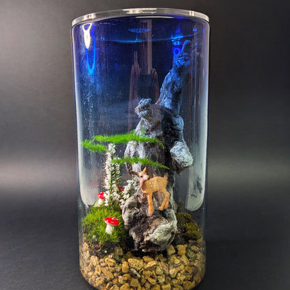 Full view of a glass vase transformed into a closed terrarium with a clear acrylic lid, ideal for DIY mossarium or plant display.