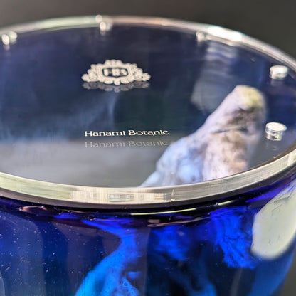 Close-up showing the thickness of the clear acrylic lid for DIY terrarium or mossarium – 4.5 mm premium quality