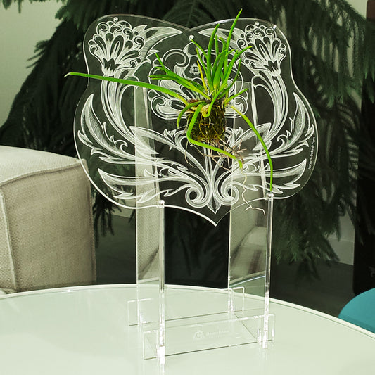 Epiphyte orchid support with tall base displaying enhanced visibility and stability for indoor plant presentation.