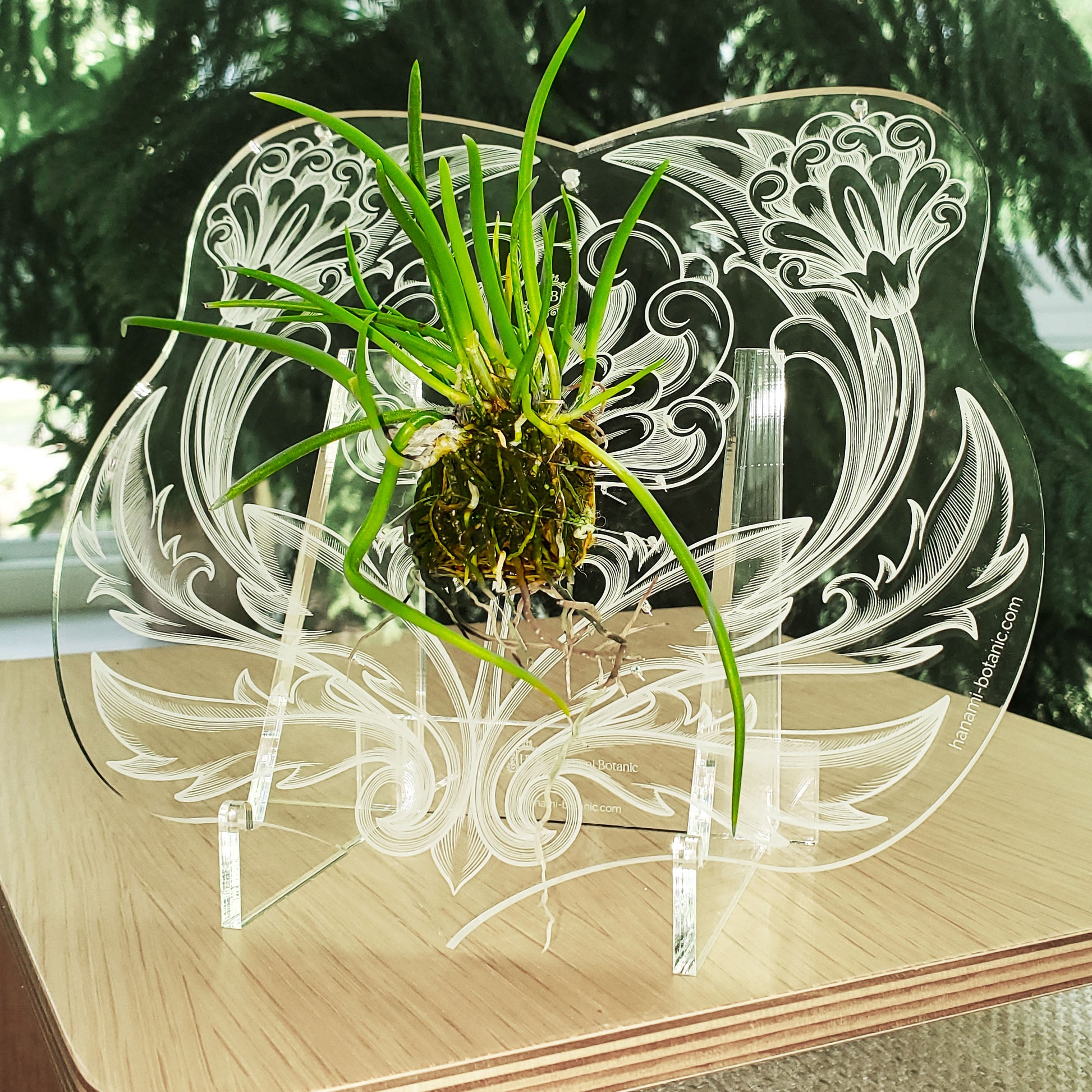 Epiphyte orchid support displayed with a short base, showcasing its practical design for table placement and compact spaces.