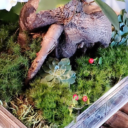 Beautifully arranged Gothic terrarium featuring moss, ferns, and a blooming orchid, creating a harmonious blend of nature and elegant design.