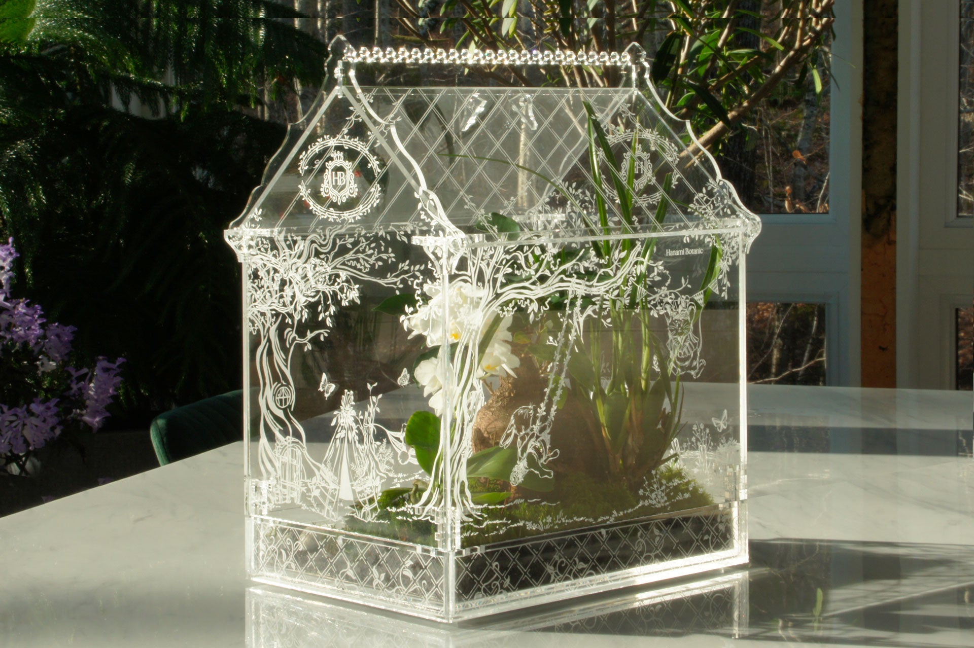 Le terrarium végétal enchante les jeunes