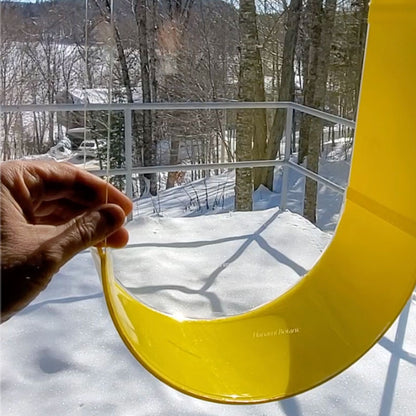 Suspended Oval Terrarium – Limited Edition