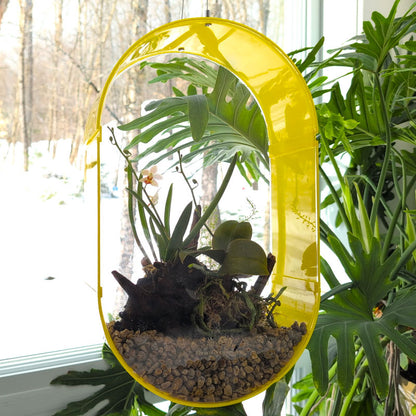 Suspended Oval Terrarium – Limited Edition