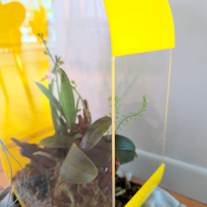 Suspended Oval Terrarium – Limited Edition