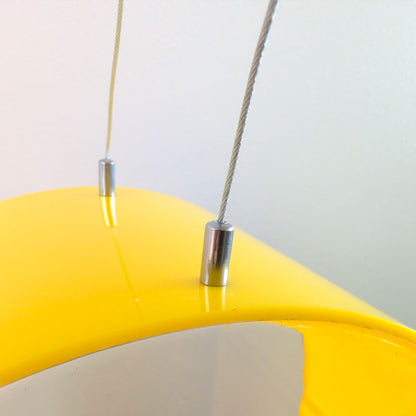 Suspended Oval Terrarium – Limited Edition