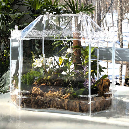 Full view of the handcrafted Victorian Gothic terrarium, inspired by the historic greenhouses of Hluboká Castle. A unique mini greenhouse designed for orchids and tropical plants.