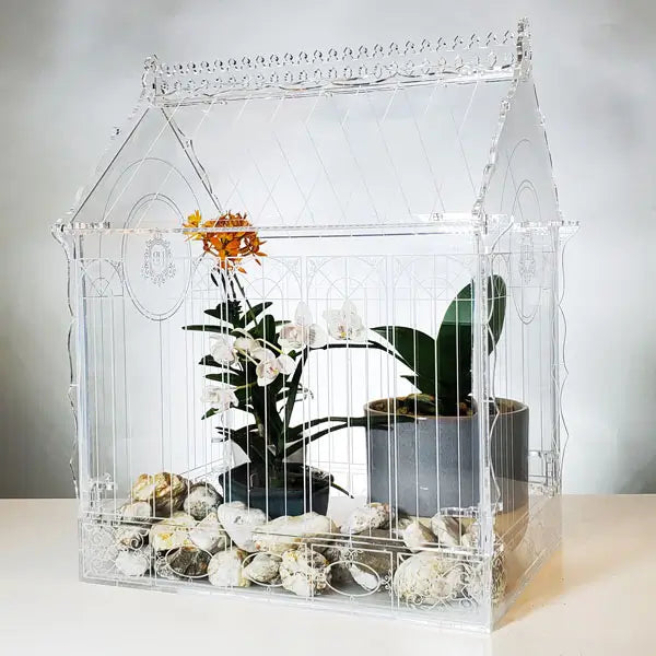 Do terrariums need sunlight?