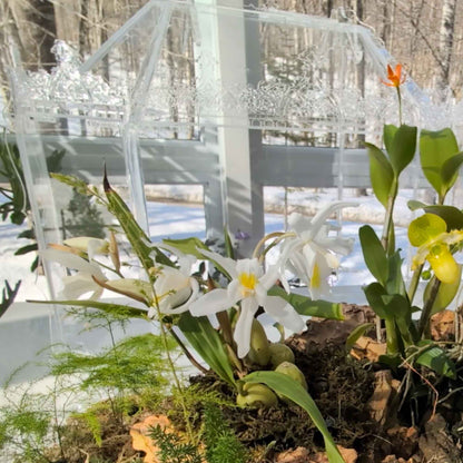 Inside view of the handcrafted Victorian Gothic terrarium, showcasing a beautifully arranged selection of orchids and tropical plants. Designed to maintain optimal humidity and plant health.