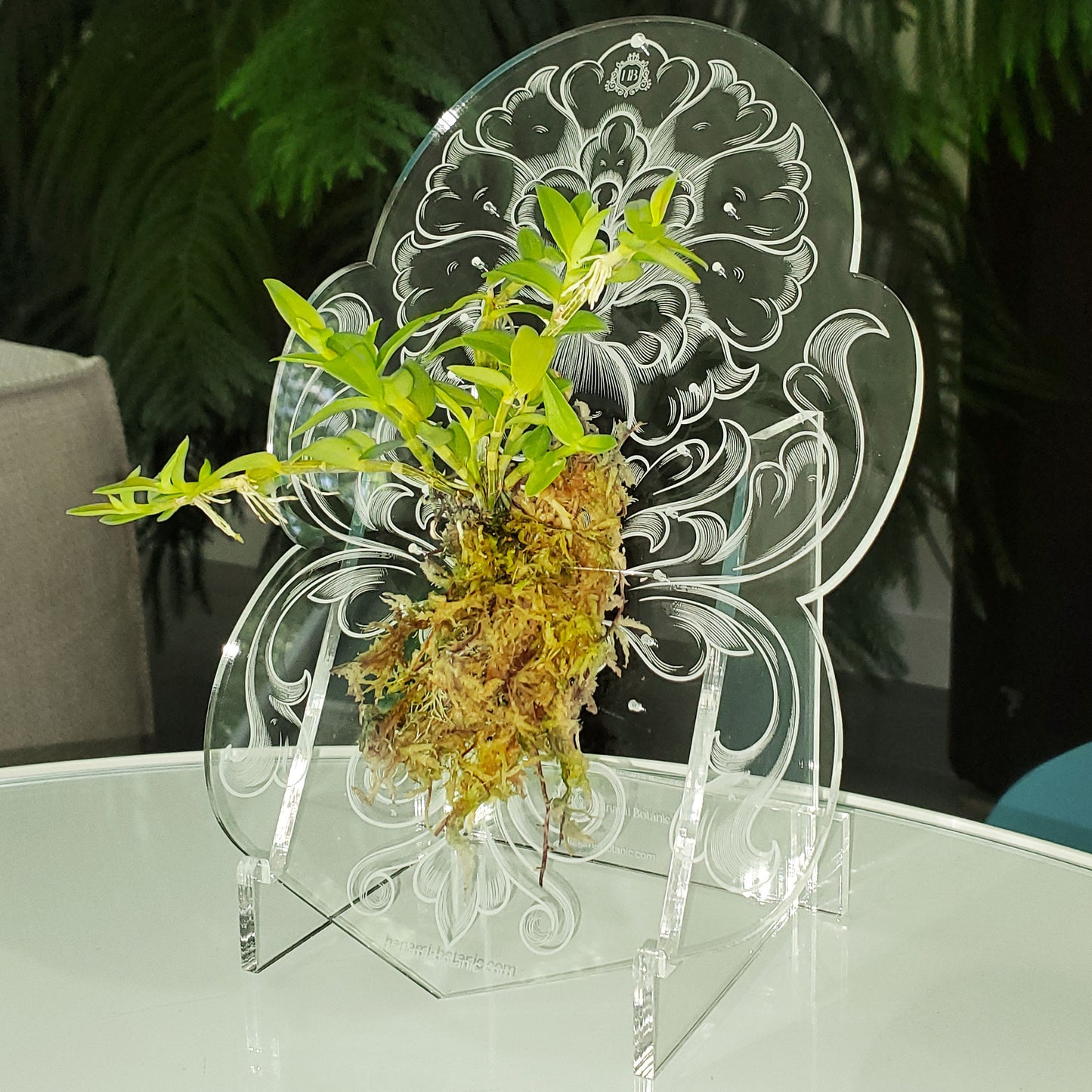 Orchid Mounting Platform with short base, designed for table display, featuring beautiful Floral Design 2 on clear acrylic.