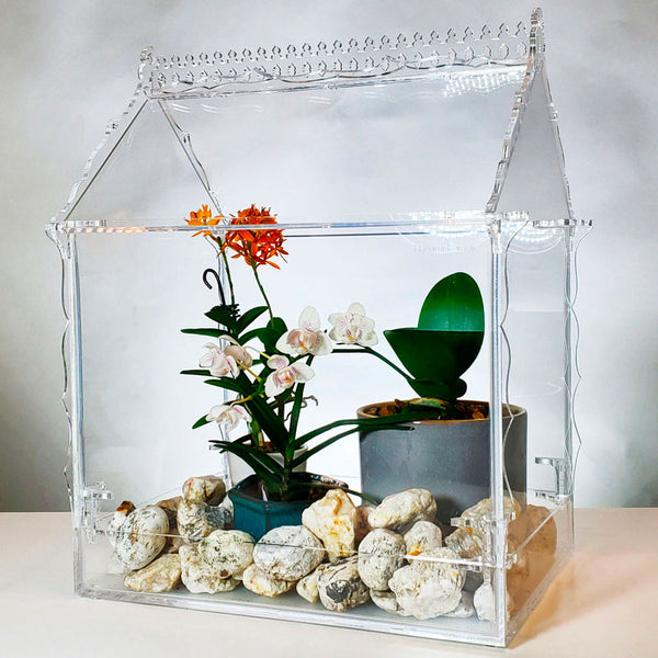 plants in glass terrarium Classic Victorian Glass Terrarium for Indoor Plants – Decorative Display – Hanami Botanic