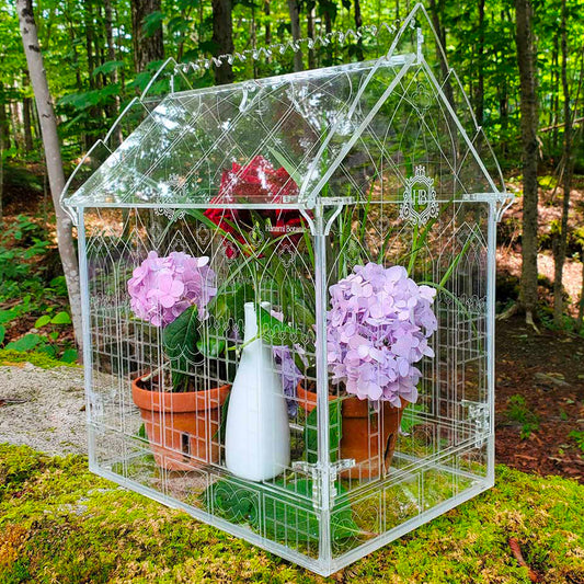 Gothic-inspired terrarium placed in a woodland setting, showcasing intricate engraving and cutwork details on the acrylic, blending architecture and nature.