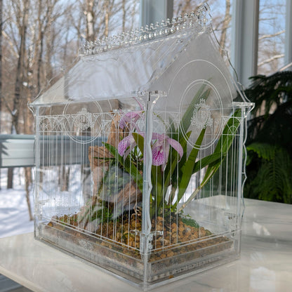 Victorian-style terrarium with plants inside, showing condensation on the walls, highlighting the high humidity environment for tropical plants.
