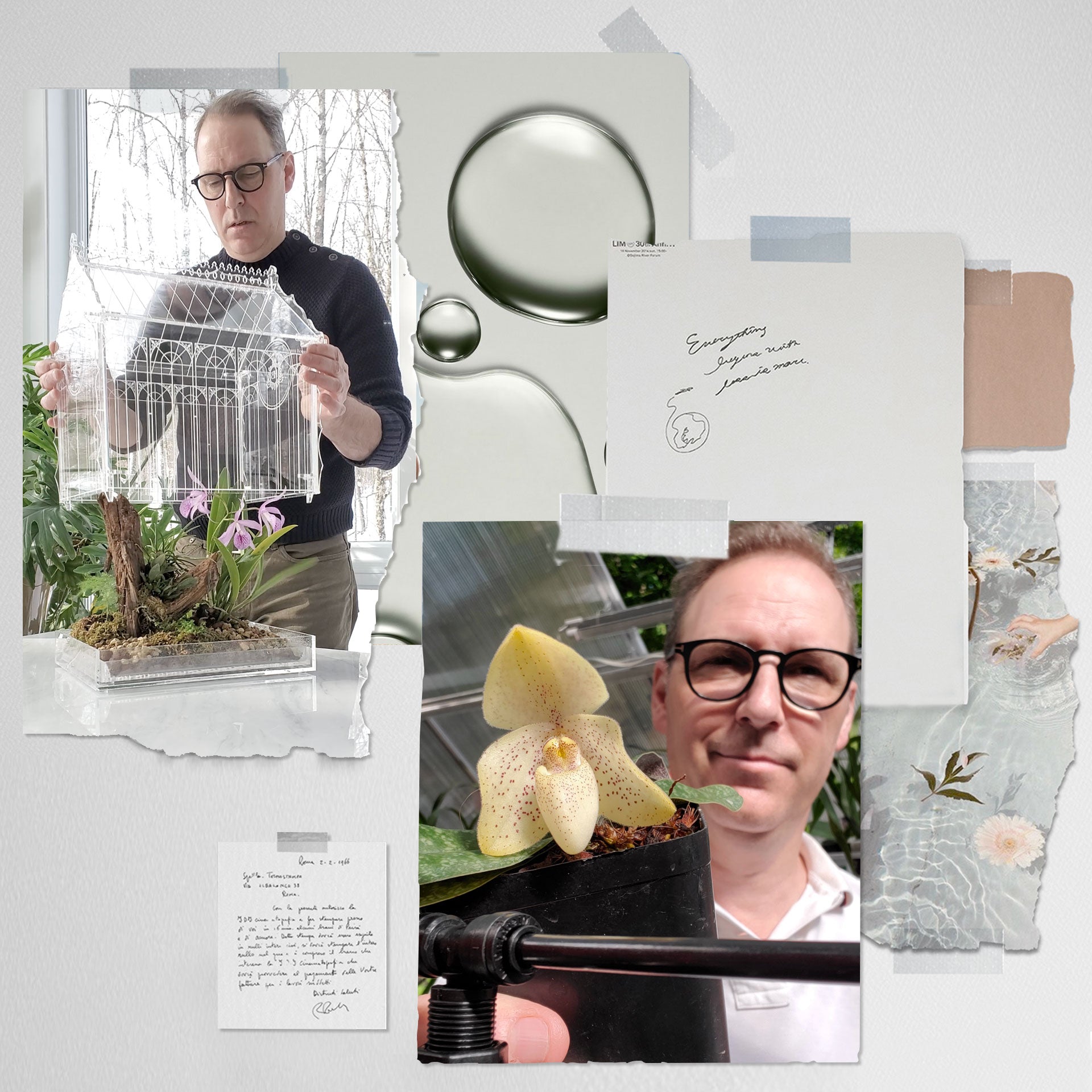 Atelier Hanami Botanic avec plantes, terrariums et lumière naturelle.