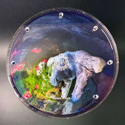 Top view of a closed terrarium with moss inside a glass vase, covered by a custom clear acrylic lid