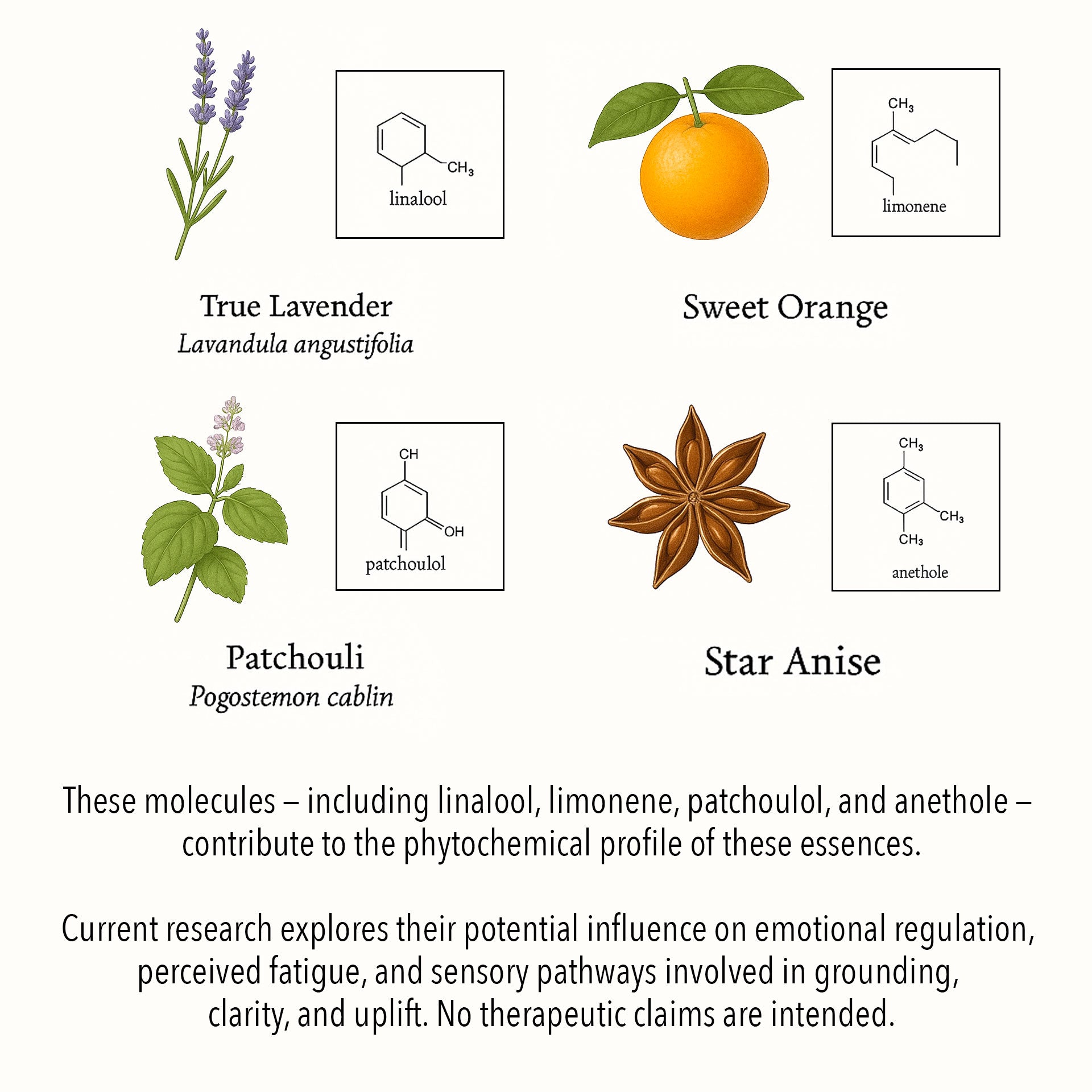 Scientific botanical illustration of Fatigue & Low Mood essential oils, featuring True Lavender, Sweet Orange, Patchouli, and Star Anise with key phytochemical compounds such as linalool, limonene, patchoulol, and anethole.