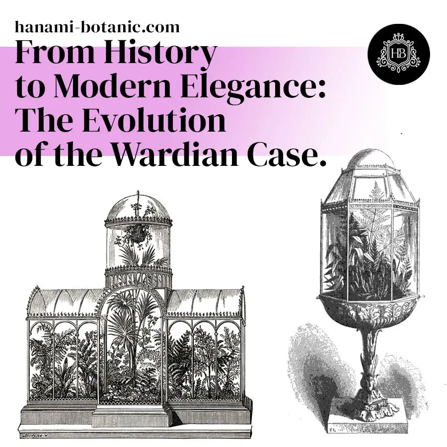 The history of terrariums: the Wardian case