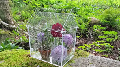 Video of a Gothic-inspired terrarium in a woodland setting, showcasing intricate engraving and cutwork details on the acrylic, blending architecture with nature.