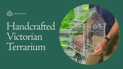 Terrarium victorien pour orchidées et plantes tropicales