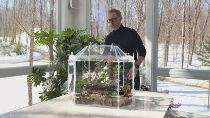 Mini-serre Château Hluboká – Terrarium victorien pour orchidées, mousses et plantes tropicales