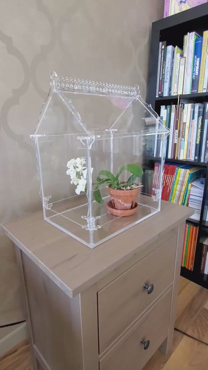 Terrarium victorien minimaliste pour orchidées et plantes tropicales