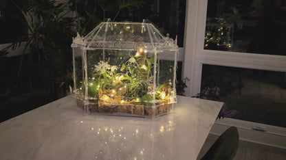 Mini-serre Château Hluboká – Terrarium victorien pour orchidées, mousses et plantes tropicales