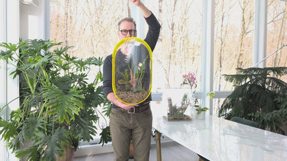 Suspended Oval Terrarium – Limited Edition