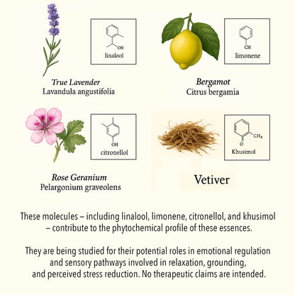 Scientific botanical illustration of Stress & Irritability essential oils, featuring True Lavender, Bergamot, Rose Geranium, and Vetiver with key phytochemical compounds such as linalool, limonene, citronellol, and khusimol.