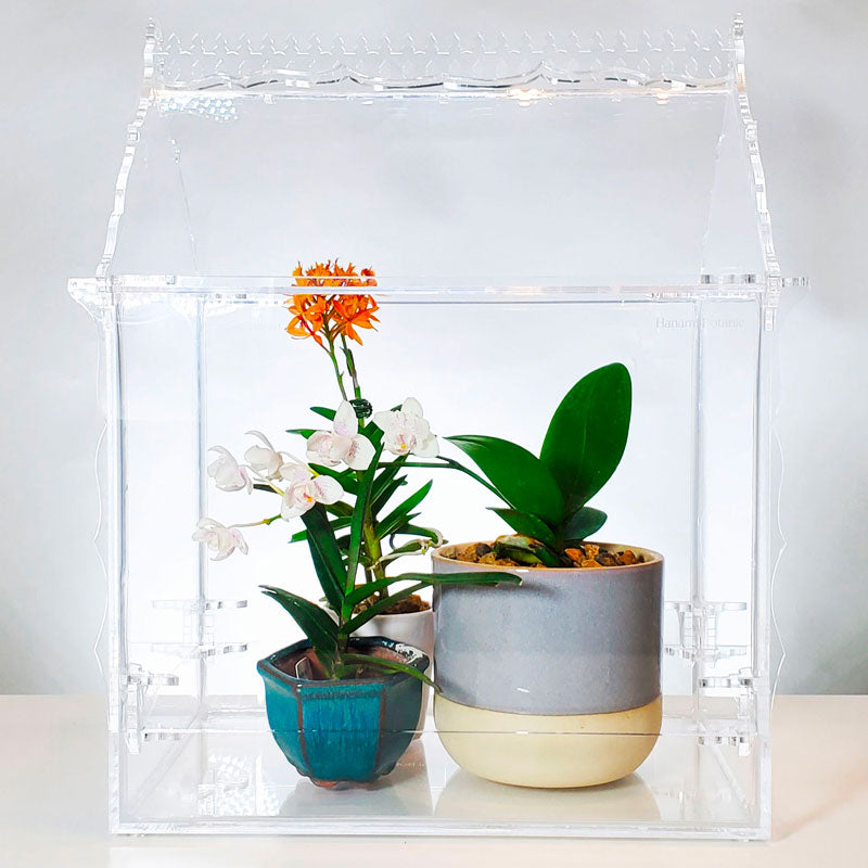 Classic Victorian-style Terrarium/Wardian Case/Orchidarium