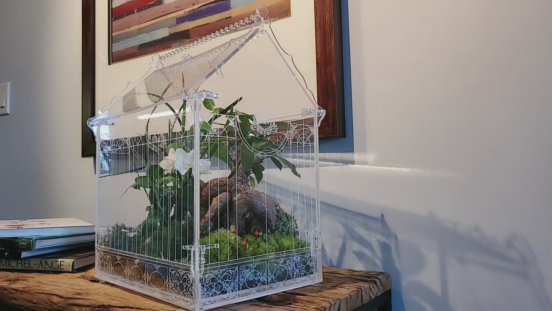 Video showcasing the Victorian-style greenhouse terrarium / Wardian case with healthy orchids and plants in a cozy living room setting